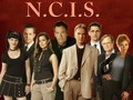 ncis - Full Cast Season 4 wallpaper