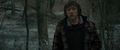 harry-potter - Harry Potter and the Deathly Hallows Part 1 (BluRay) screencap