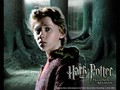 Harry Potter - harry-potter photo