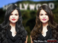 Selena Gomez  Hollywood - selena-gomez wallpaper