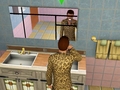Sims 3  - the-sims-3 photo