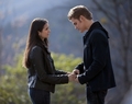 Stefan and Elena - 2.20 "The Last Day" - stefan-and-elena photo