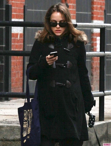 Taking Whiz for a walk around Manhattan, NYC (April 7th 2011)