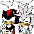 shadow and silver  - shadow-the-hedgehog photo