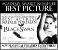 Black Swan Poster - black-swan photo