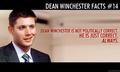Dean Winchester Fact - supernatural fan art