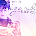 Harry Potter - harry-potter-vs-twilight fan art