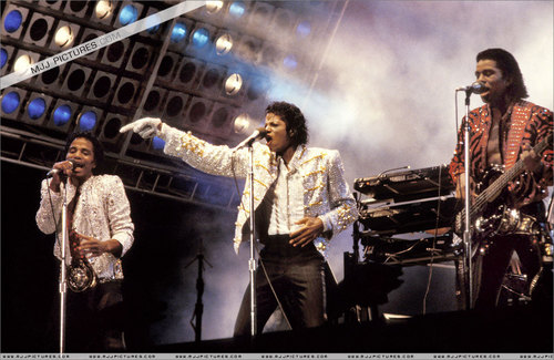 Michael Jackson!!!!