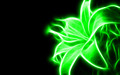 green - Neon Green Flower wallpaper