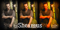 Sheamus - sheamus fan art