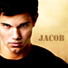 Taylor as Jacob Black - taylor-lautner icon