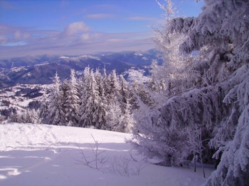  The Carpathian mountains
