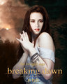 ♥ Breaking Dawn  - twilight-series fan art