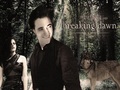 ♥ Breaking Dawn - twilight-series wallpaper