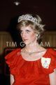 Diana Royal Family Order - princess-diana photo
