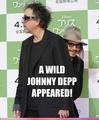 Johnny Depp Funnies - johnny-depp photo