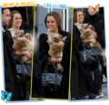 Miley and her cute puppy! :) - miley-cyrus photo