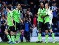 Nando - Chelsea(3) vs West Bromwich Albion(1) - fernando-torres photo