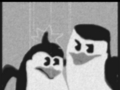 Skipper slapping Private (Old version) - penguins-of-madagascar fan art