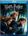 Harry Potter and the Deathly Hallows: Part 1, 2010 - harry-potter photo