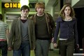 Harry Potter and the Deathly Hallows: Part 1, 2010 - harry-potter photo