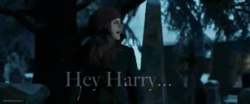  Hermione Granger.