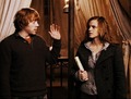 Hermione&Ron (DH) - hermione-granger photo