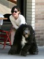Rachel Bilson with Huge Dog! - celebrity-gossip photo