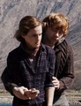 Ron&Hermione (DH) - harry-potter photo