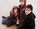 The Golden Trio (DH) - harry-potter photo