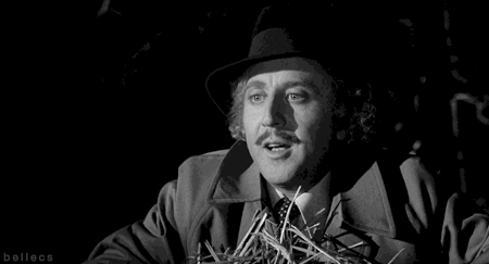 Young Frankenstein gif