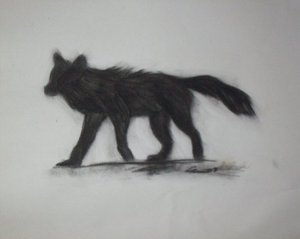  black भेड़िया drawing