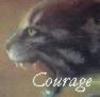  courage_ leaders nine lives