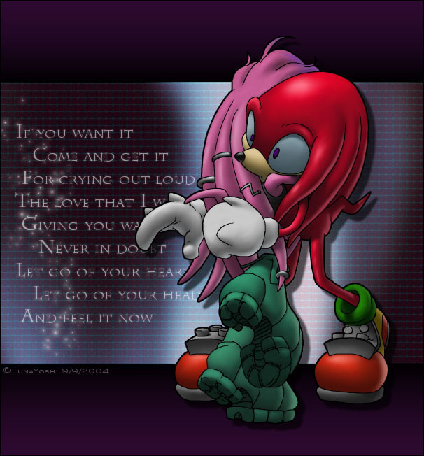 Knuckles Sonic and Shadow Girlfriends Photo: i want u.