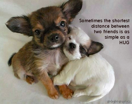 puppies and quotes. puppy quotes