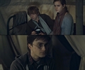 "I hate it. It's like he's here with us" "And that's why we're gonna kill it." - harry-potter photo