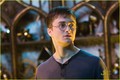 Daniel Radcliffe: Harry Potter Through The Years - harry-potter photo