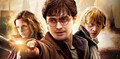 Deathly Hallows Part 2 - harry-potter photo