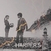 Harper's Island - television icon