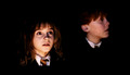 Hermione G. - hermione-granger fan art
