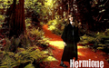 Hermione Granger! - hermione-granger wallpaper