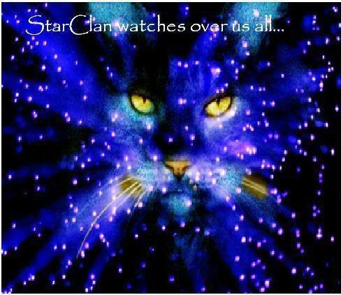  StarClan is always watching over us