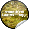 stickers - the-secret-life-of-the-american-teenager photo