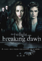 the Twilight sega:Beaking Dawn Part 1. Day:11/11/11 - twilight-series photo