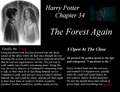 Harry Potter- The Forest Again - harry-potter photo