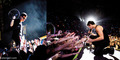 Jonas Brothers Live in Concert - the-jonas-brothers photo