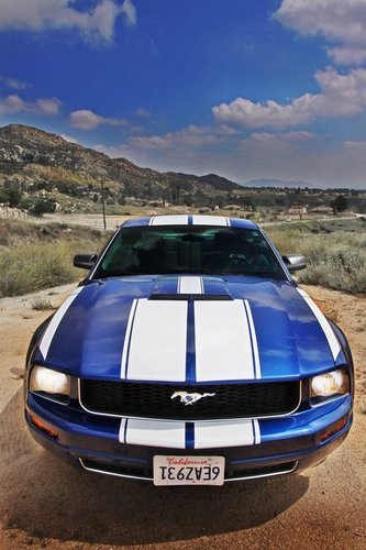  Ford Mustang!