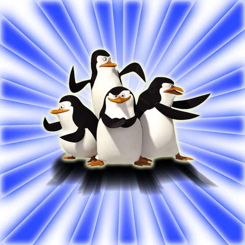  I 爱情 This Penguins!!!
