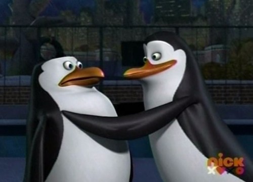  I Любовь this Penguins!!!!!!