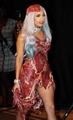 Lady gaga in her famous meat dress - lady-gaga photo